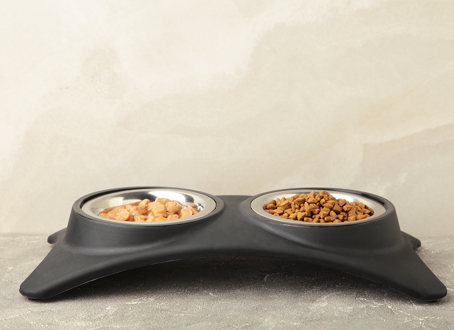 Feeding & Bowls