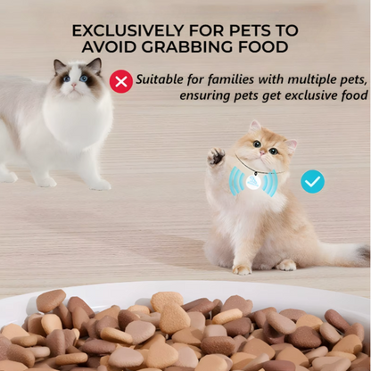 Smart Automatic Cat Feeder
