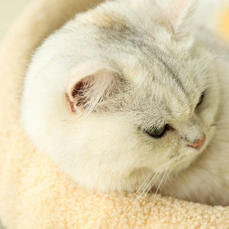 Cats Play Bed Stylish Nest for Small Puppy Kittens Cartoon Kittens Bed Pet Bed Scratch Resistant for Household D2RD