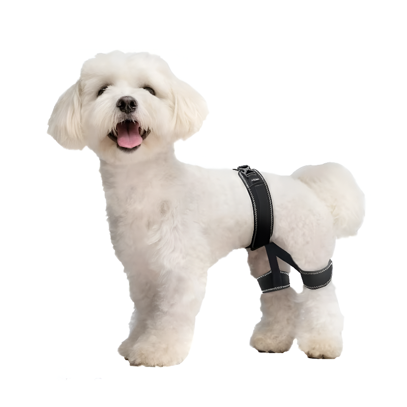 Dog Hip Support Brace