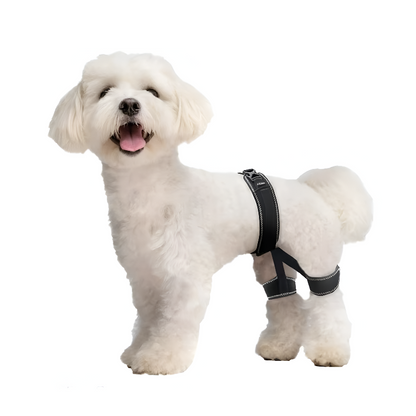 Dog Hip Support Brace
