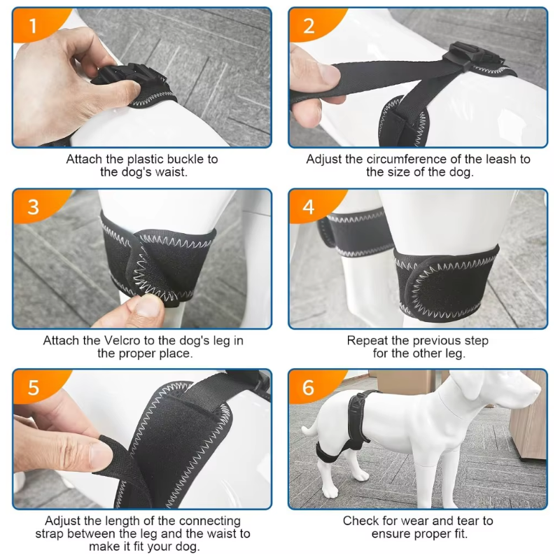 Dog Hip Support Brace