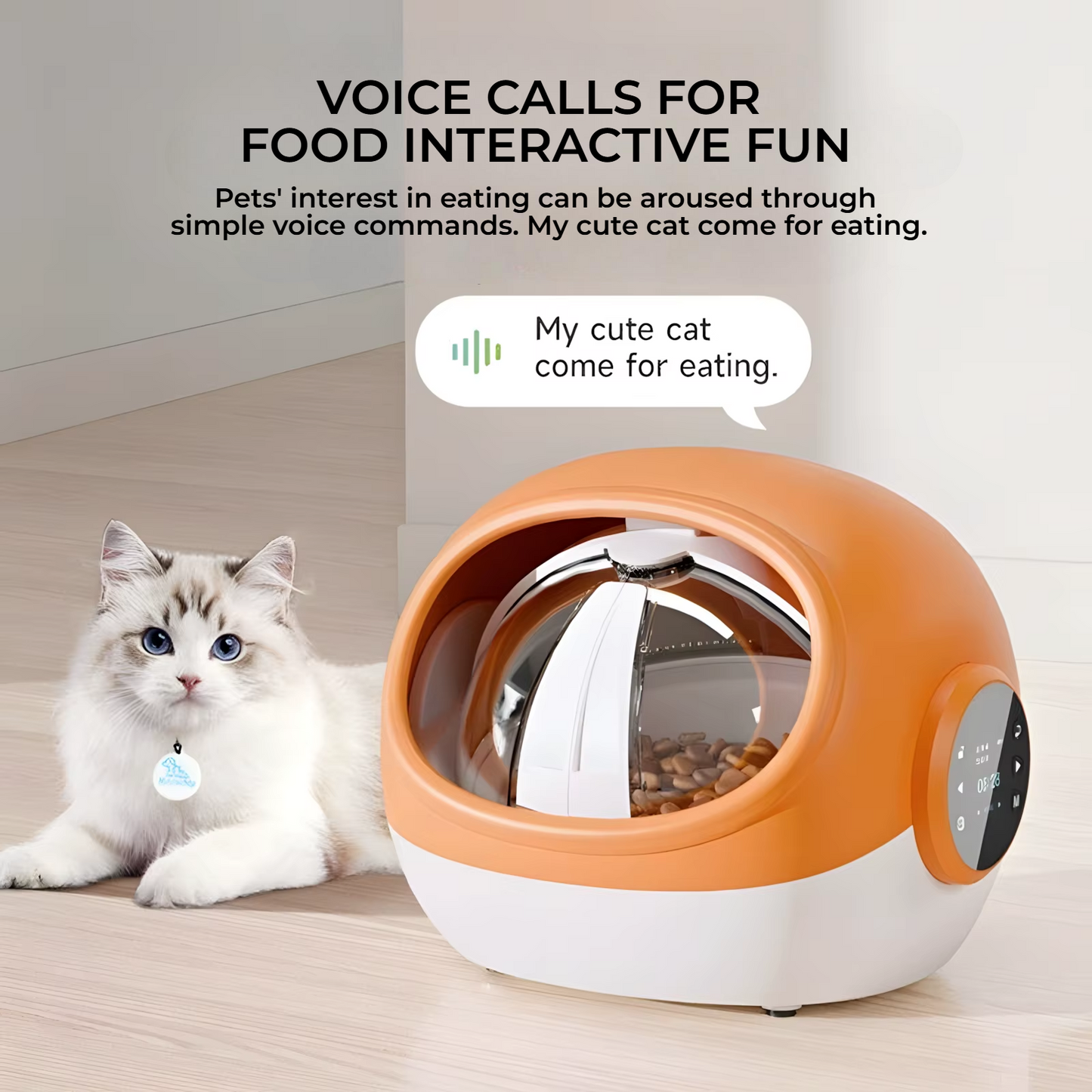 Smart Automatic Cat Feeder